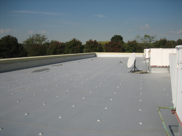 384_large-1 Roof Restoration Systems